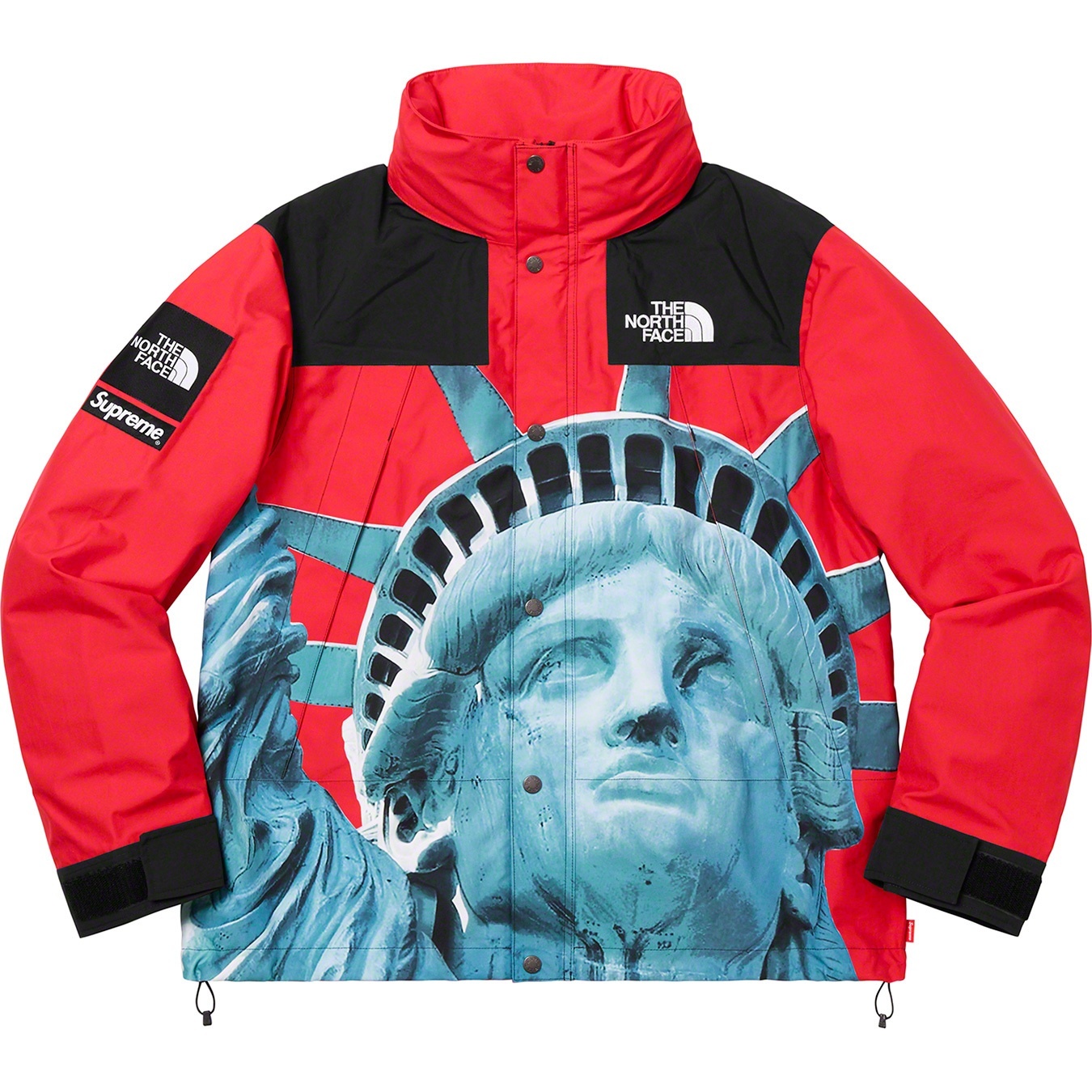 Supreme®/The North Face® Statue of Liberty Mountain Jacket view 3